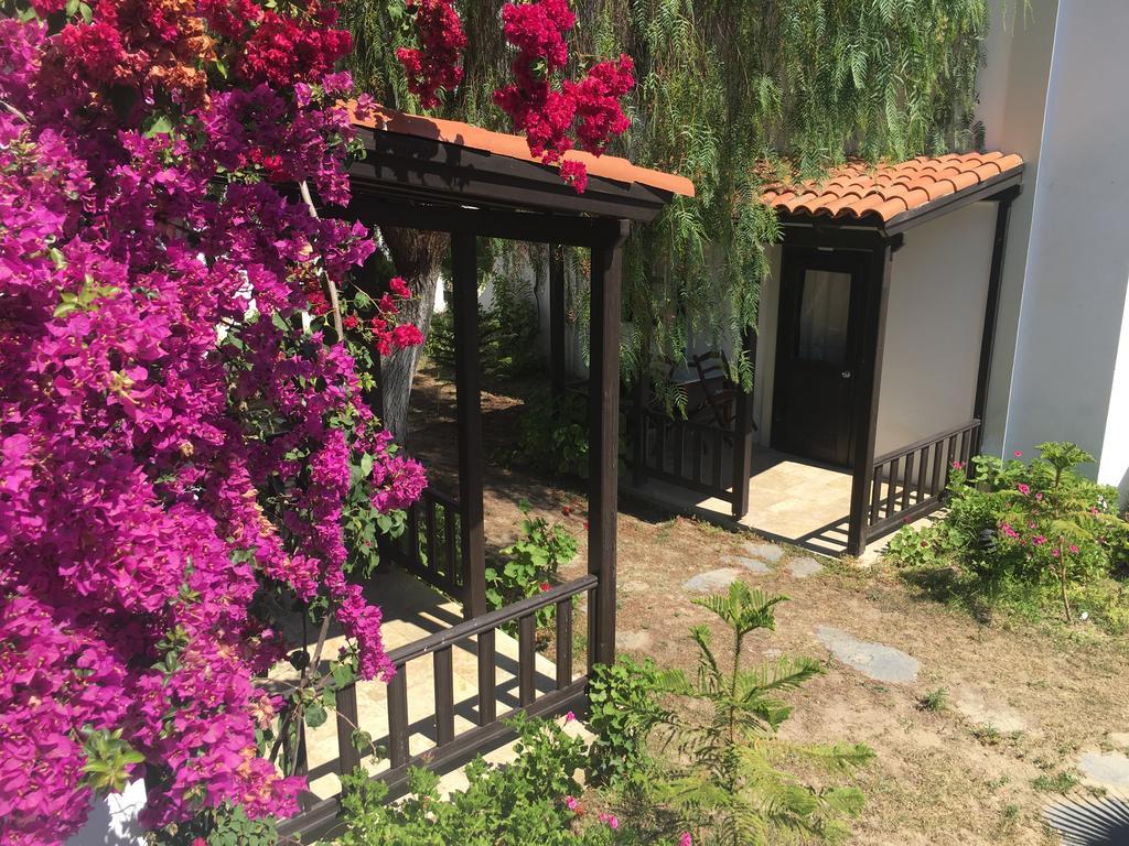 Salinas Beach Hotel Bodrum-Boutique Concept グムベット エクステリア 写真