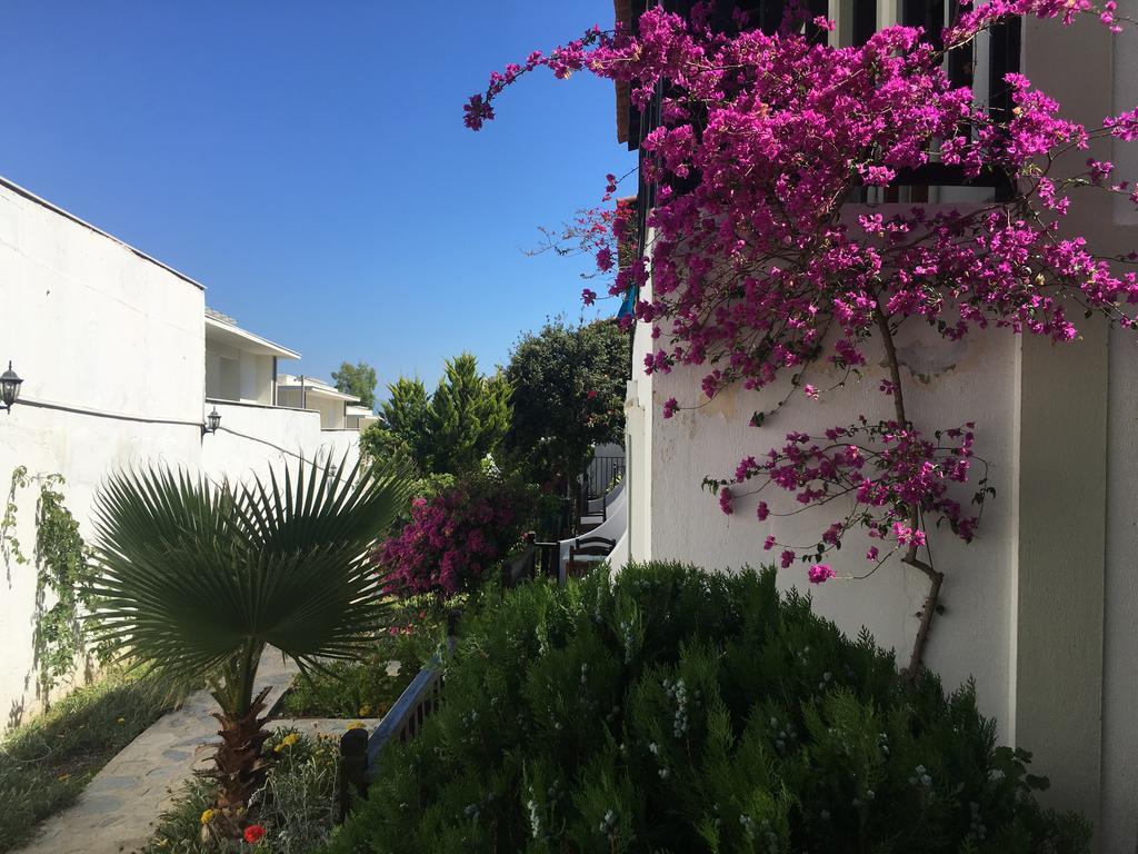 Salinas Beach Hotel Bodrum-Boutique Concept グムベット エクステリア 写真